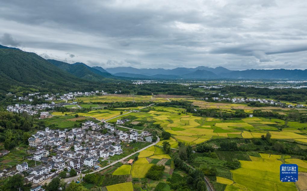 注册就送28元体验金